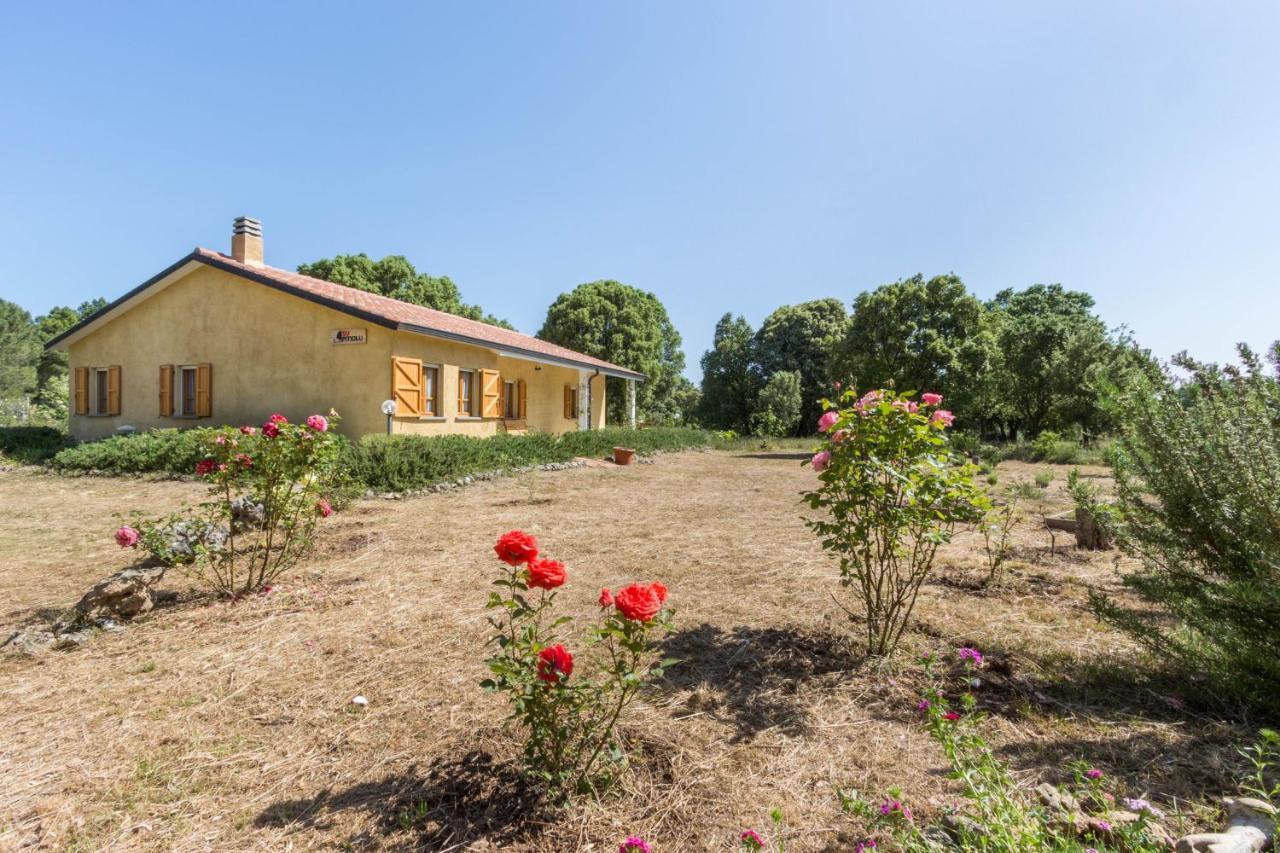 Su Pitiolu - Casa Vacanze Laconi Exterior photo