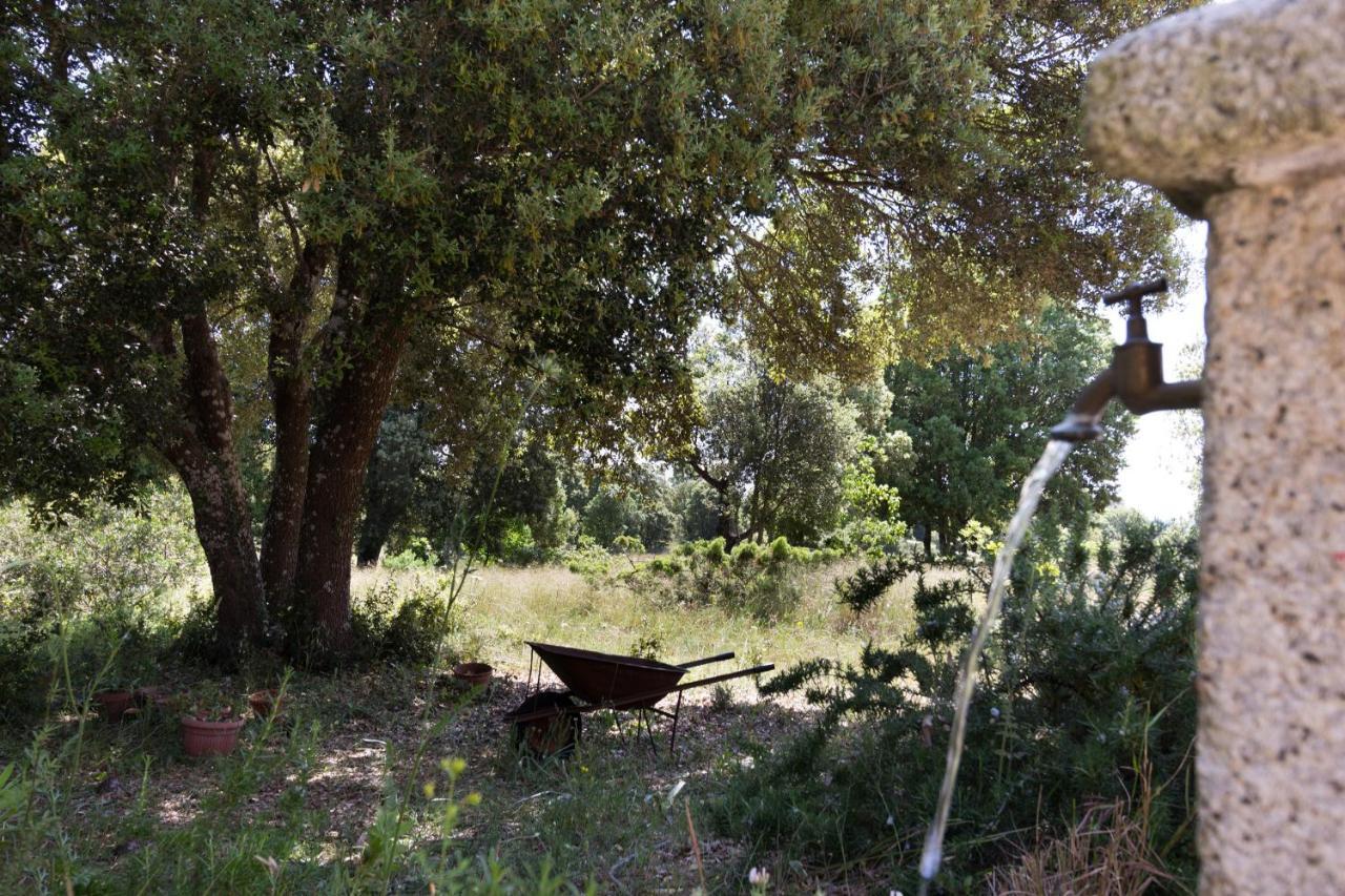 Su Pitiolu - Casa Vacanze Laconi Exterior photo